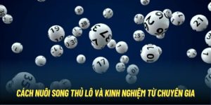 Cách Nuôi Song Thủ Lô Và Kinh Nghiệm Từ Chuyên Gia